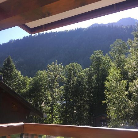 Апартаменты Les Pierres Blanches Mont Blanc Ле-Контамин-Монжуа Экстерьер фото